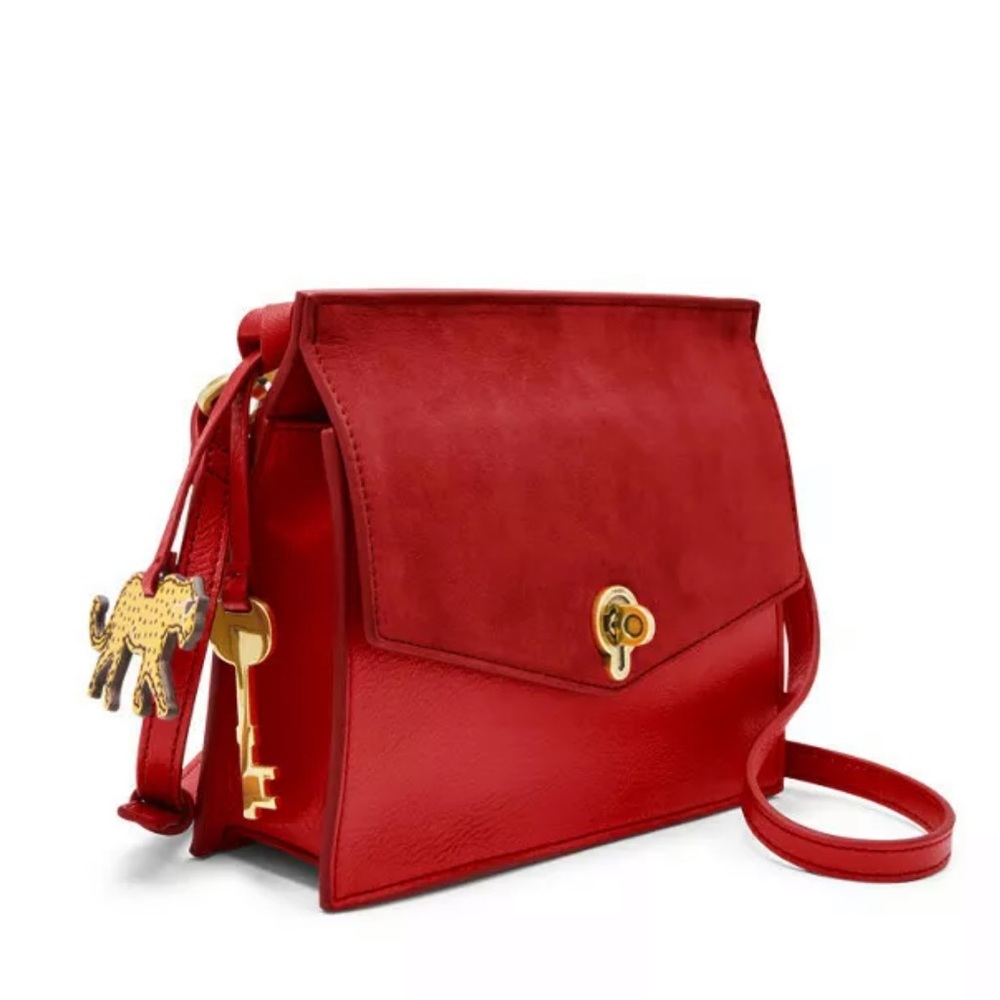 Fossil🌹Small Stevie Crossbody Brick Red